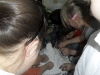 SAM_0053