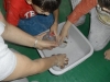 SAM_0059