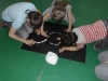 SAM_0070
