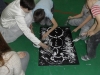 SAM_0082