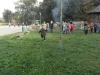 SAM_8468