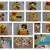 Nowy-folder3