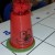 IMG_20191205_115230