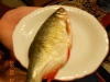 DSCN1335