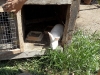 sam_4732
