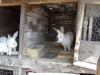 sam_4735