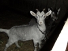 sam_4737