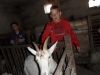 sam_4745