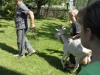 sam_4768