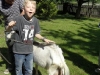 sam_4770