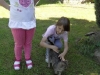 sam_4810
