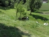sam_4822