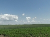 sam_4834