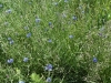 sam_4840