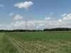 sam_4854