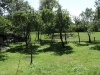 sam_4878