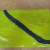 IMG-20190523-WA0013