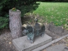 DSC_0419_09-27-2012