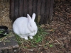 DSC_0457_09-27-2012