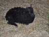 DSC_0472_09-27-2012