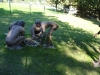 DSC00031