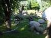DSC00037