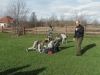 SAM_6541