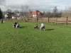 SAM_6561