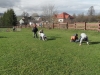 SAM_6562