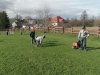 SAM_6563