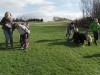 SAM_6566