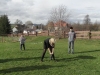 SAM_6623