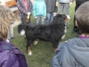 SAM_6724