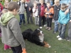 SAM_6726