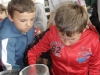 sam_4140