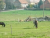 DSCN3793