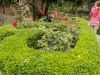 DSCN1145