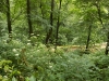 DSCN1167