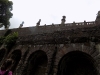 DSCN1168