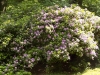 DSCN1171