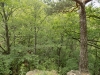 DSCN1175