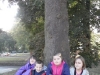SAM_8451