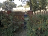 SAM_8453