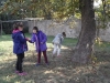 SAM_8454