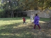 SAM_8455