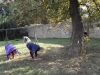 SAM_8456