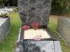 DSCN0704