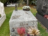 DSCN0705