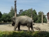 sam_4940