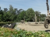sam_4942